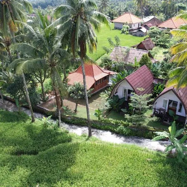 Damuh Pertivi, River and Rice Fields View, hotel v destinaci Lovina