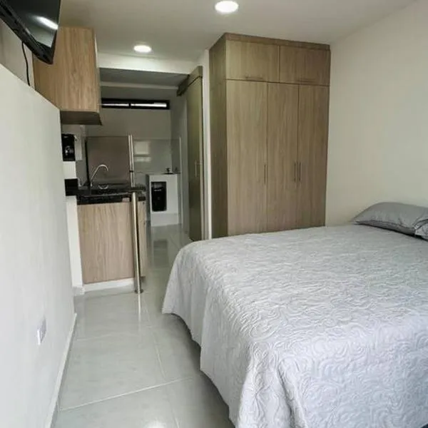 Loft con aire acondicionado, hotel v destinaci Florencia