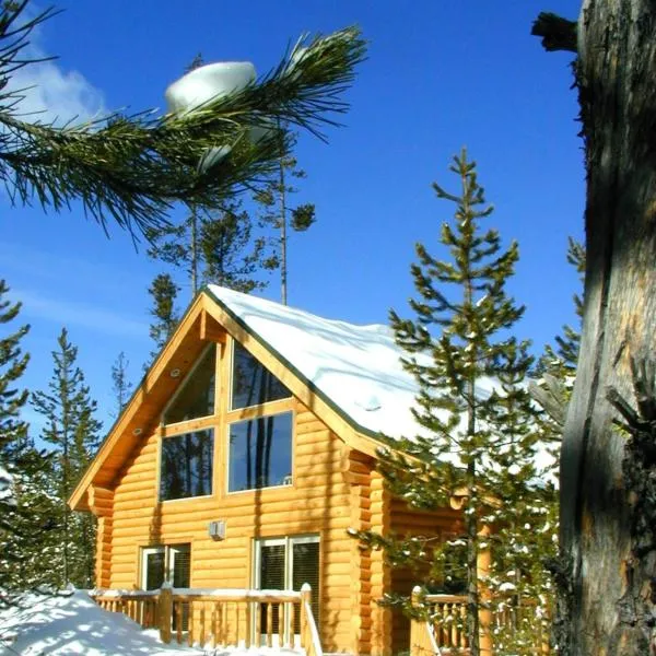 The Pines at Island Park, hotel v destinaci Island Park