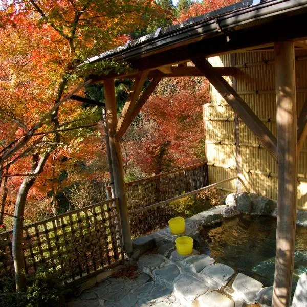 Sawatari Onsen Miyataya Ryokan, Hotel in Nakanojo