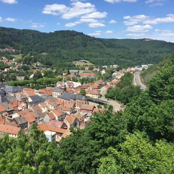 Schirmeck centre appartement au pied du château, hotel en Urmatt