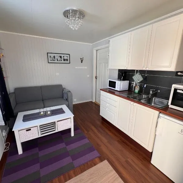 Lofoten booking, hotel v destinaci Leknes