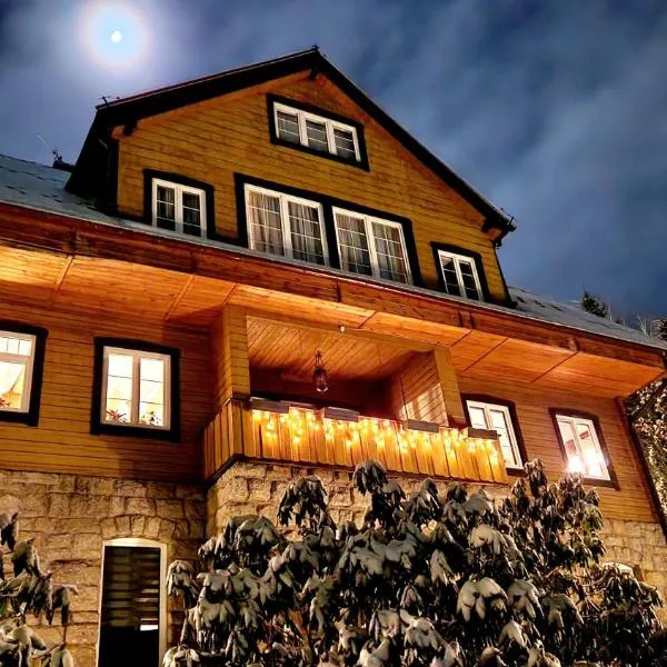 Willa 1910, hotel in Karpacz