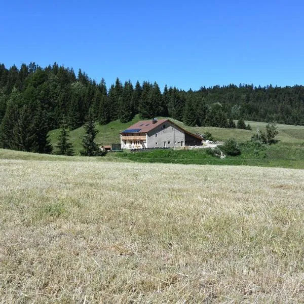 Gîtes Tré Le Grenier, hotell sihtkohas Les Moussières