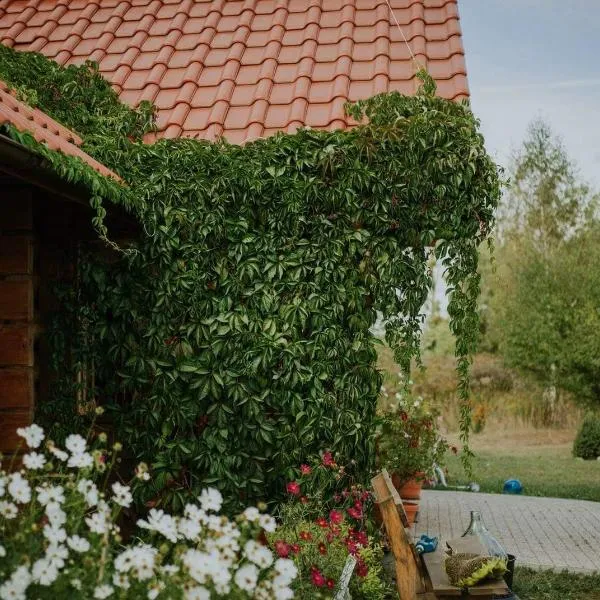 Dom Gościnny Sowia Stópka, hotel in Winiec