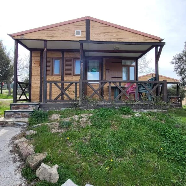 Camping El Picachuelo, hotel v destinaci El Berrueco