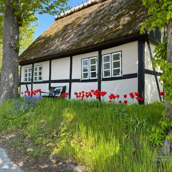 Sofie's Hus - Munkgaard, hotel v destinaci Hårlev