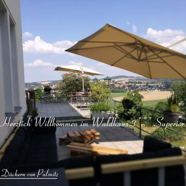 Waldhaus Pulsnitz, hotel v destinaci Pulsnitz