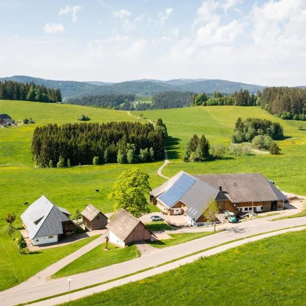 Haldenmichelhof Ferienwohnungen、ブライトナウのホテル