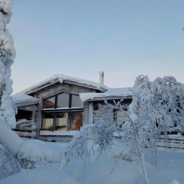 Villas Karhunpesä, hotel in Saariselka