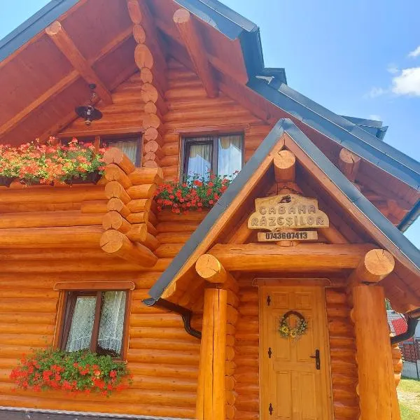 Cabana Razesilor, hotel in Gura Humorului