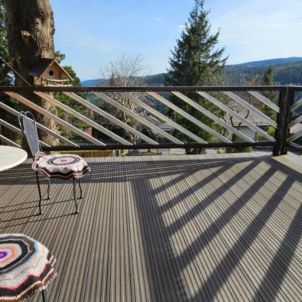 Hütte auf 1000m Höhe in Mönichkirchen., hotel in Mönichkirchen