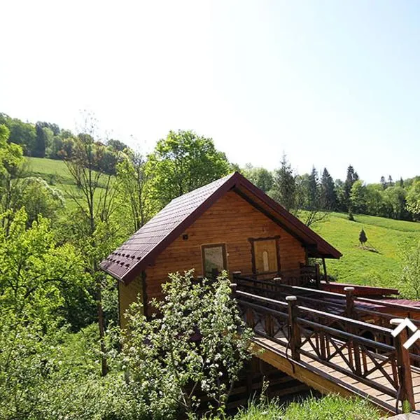 Буковий гай & ЧАН, hotel in Dovzhanky Village