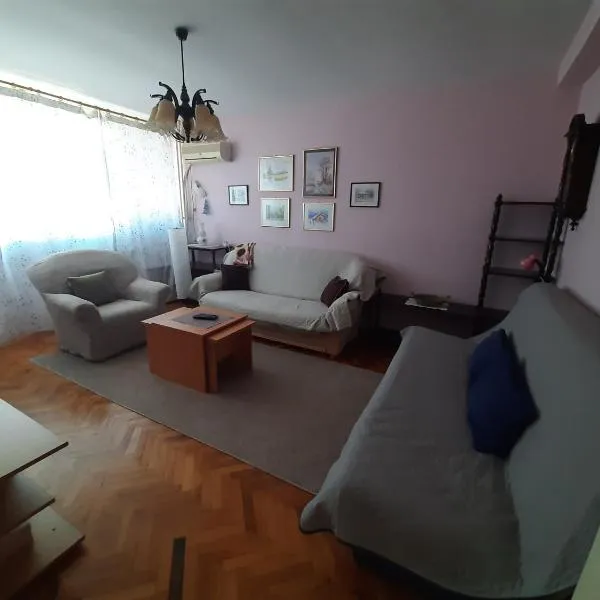 보르에 위치한 호텔 Apartman Oskar