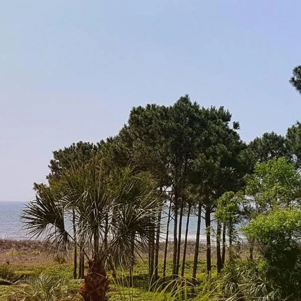 Crashin' Waves-Oceanview Bikes and King Bed, hotel en Hilton Head Island