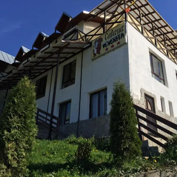 Pensiunea Cabana Veverita Valea Doftanei, hotel v destinaci Trăisteni