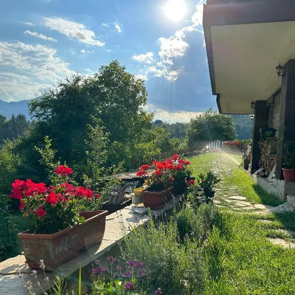Guest House Opa, hotel in Smolyan
