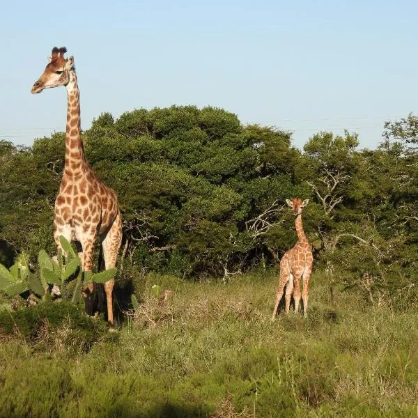 The Ranch House at African Safari Lodge, hotel en Salem