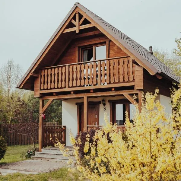 Wielewskie Wzgórze Wiele, khách sạn ở Wiele