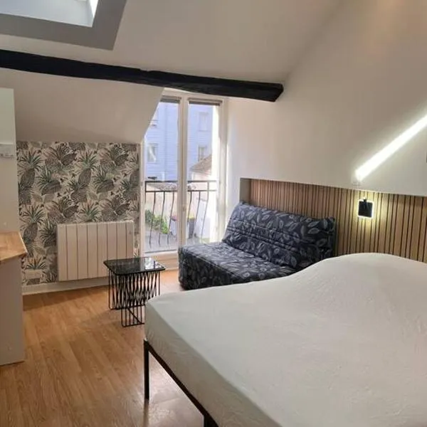 Studio duplex Hypercentre au calme avec parking, hotel a Fontainebleau