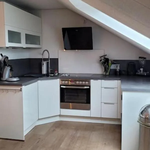 Apartment Schwarzwaldmädel, hotel v destinaci Friedenweiler