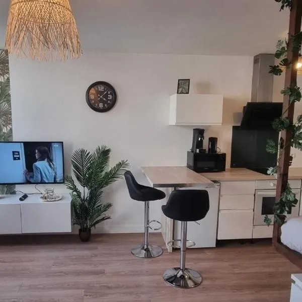 New jungle studio cœur de ville, hotel in Pont-à-Mousson