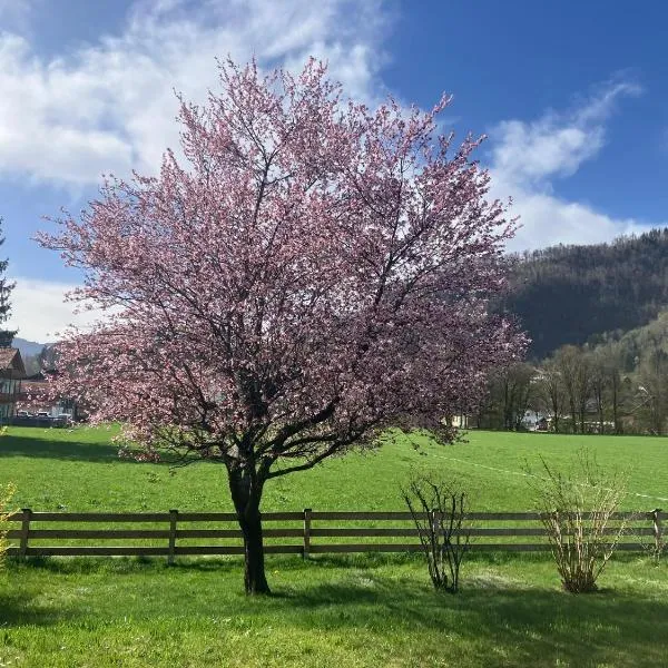 Open Garden Mountain Lodge, khách sạn ở Oberaudorf