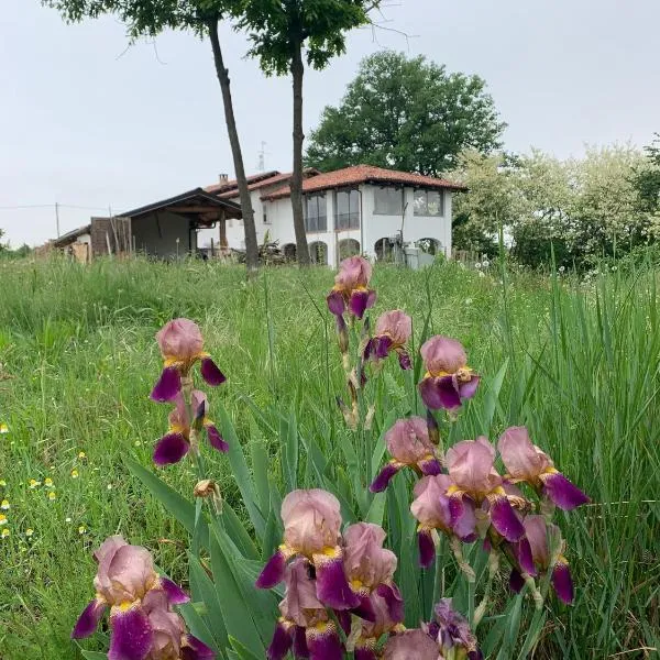 Iris, hotel v destinaci Dogliani