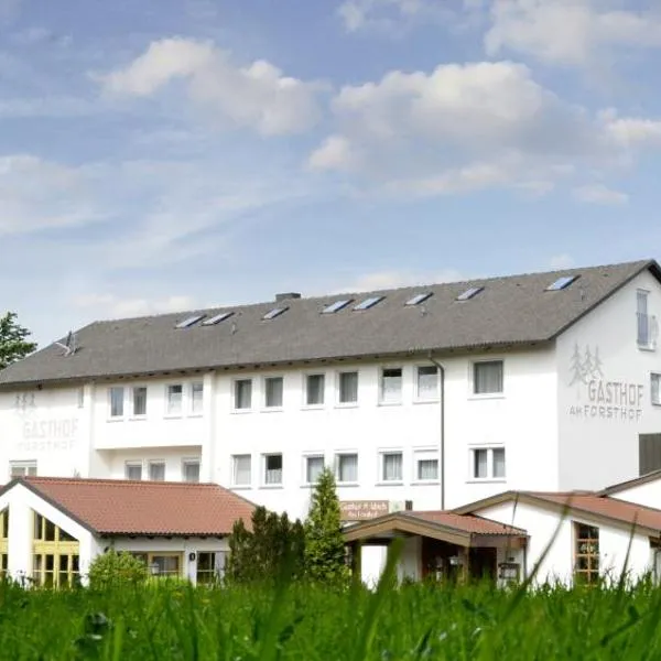 Hotel Gasthof Am Forsthof, hotel in Sulzbach-Rosenberg