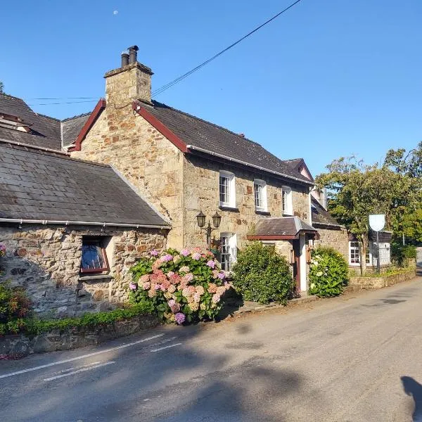 Trewern Arms Hotel、ニューポートのホテル