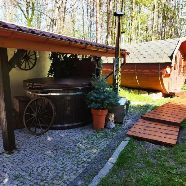 Leśne Zacisze, hotel em Wola Raniżowska