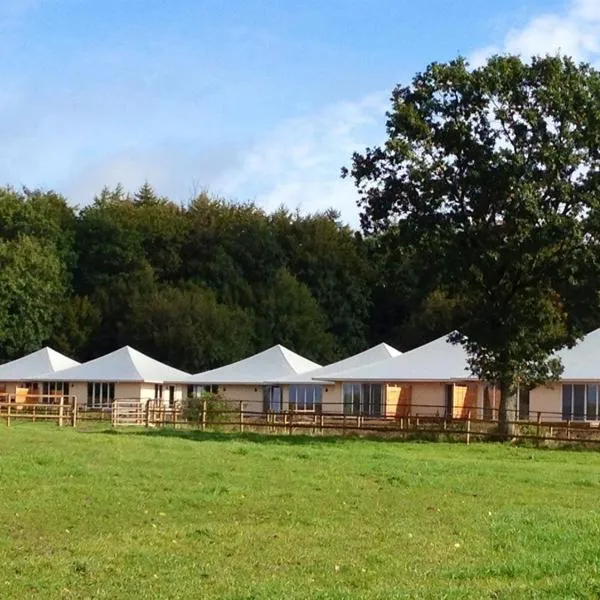 Oase Friedensthal, Hotel in Friedenstal