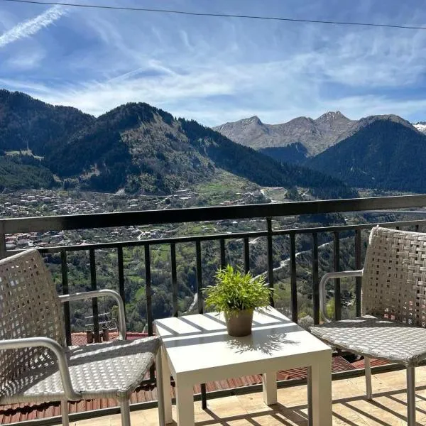 Το σπίτι της πλατείας, hotel v destinaci Metsovo