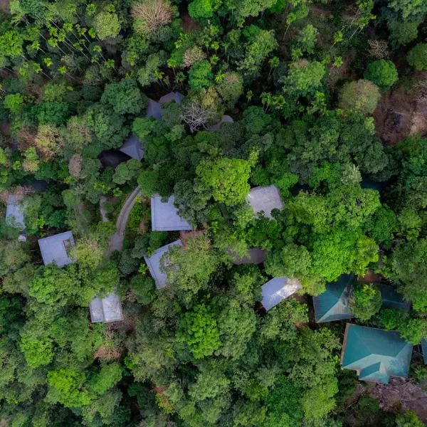 The Hive, Wayanad, hotel in Wayanad