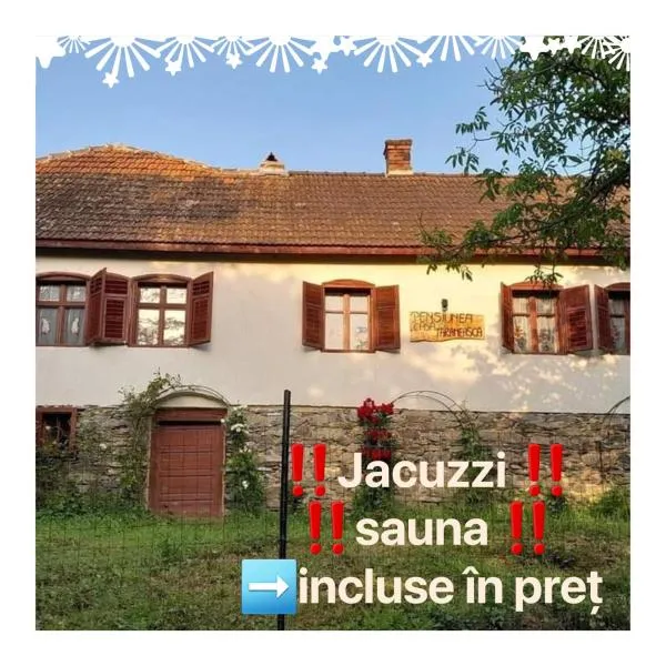 Pensiunea Casa Țărănească, готель у місті Rusca