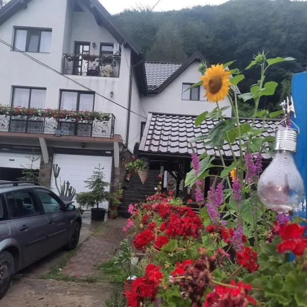 Pensiunea Magura Ocnei, hotel in Targu Trotuş