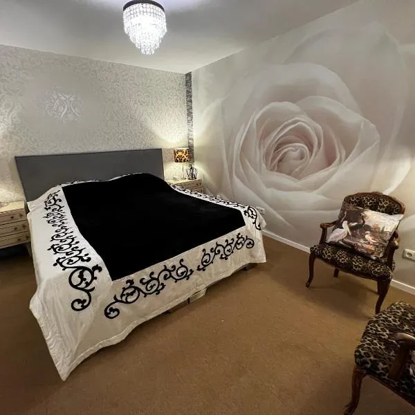 Trexico-city, hotel in Trechtingshausen
