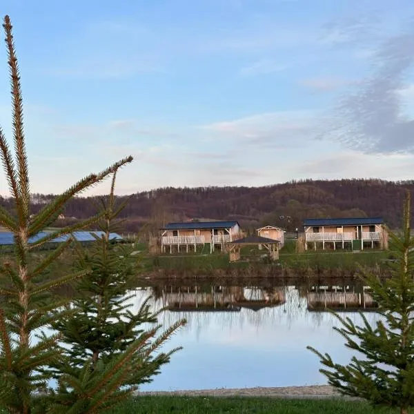 Domki Nad Sanem Bachórzec 6a, hotel in Dubiecko
