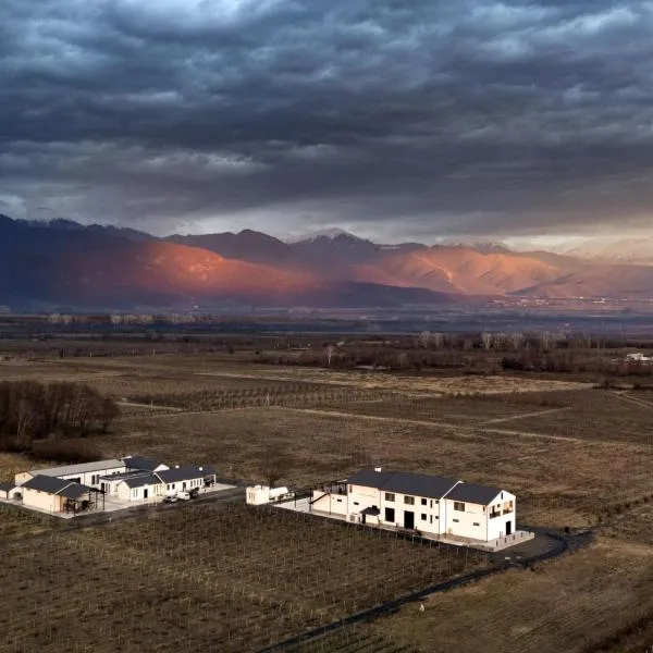 크바렐리에 위치한 호텔 Eclipse Winery Boutique Hotel