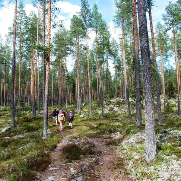 15-Nasjonalpark, sykling, fisking, kanopadling, skogs- og fjellturer, hotel i Ljørdal