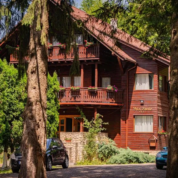 Vila Zorile, hotel in Poiana Brasov