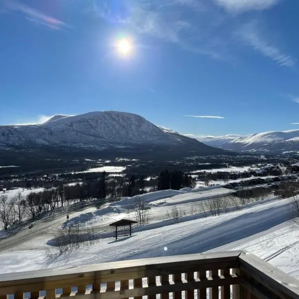 Flott leilighet med ski in ski out, utsikt og balkong, hotel din Fagerhaug