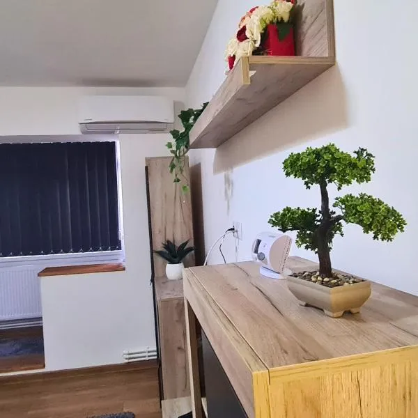 Cozy Apartment- zona centrala, hotel v destinaci Bacău