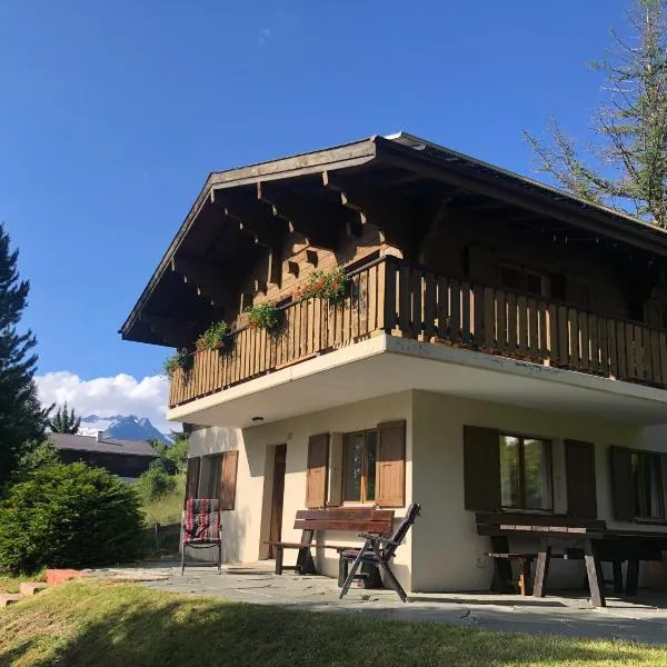 Chalet Claire: Bürchen şehrinde bir otel