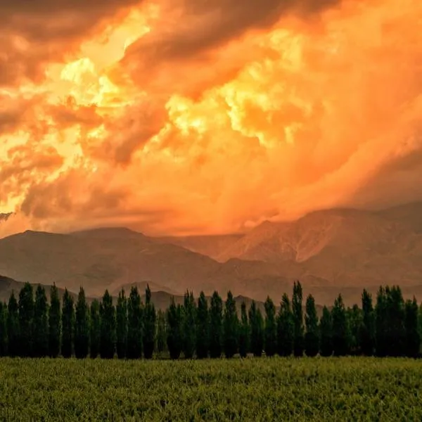 Bodega Alpasión Lodge y Glamping, hotell i Los Árboles