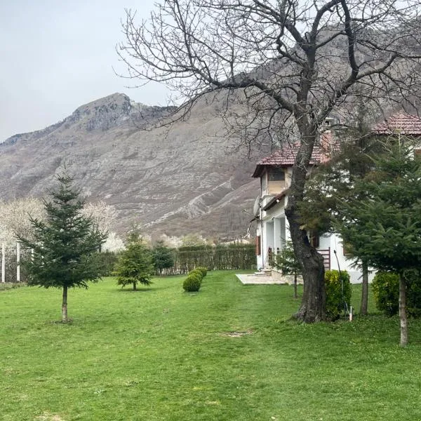 Paja Guesthouse - Camping, hotell i Bogë