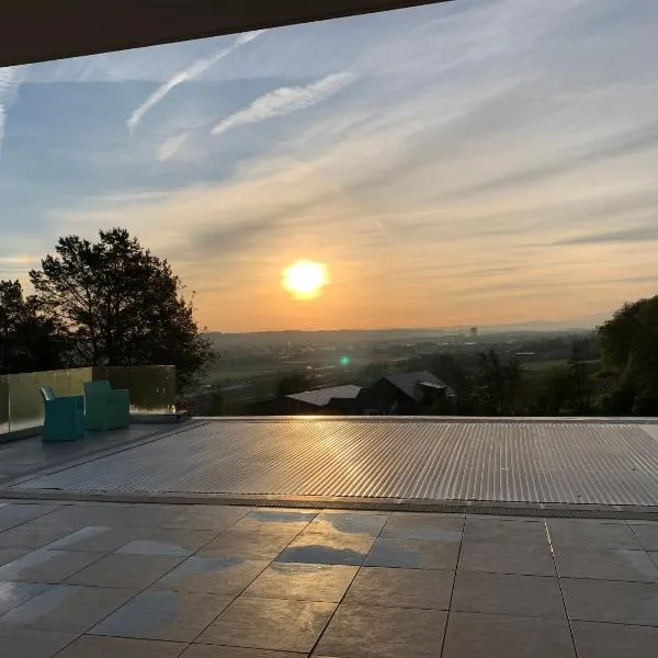 Deluxe Doppelzimmer mit Pool und Aussicht, hotel v destinaci Dänikon