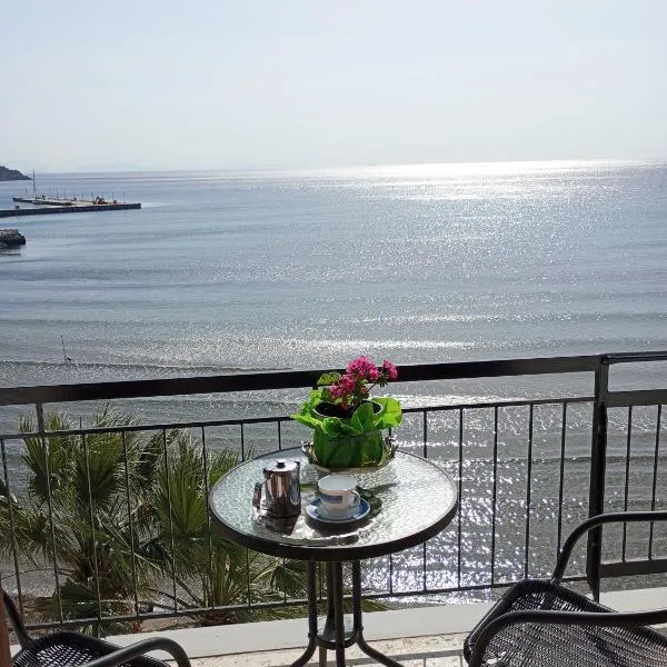 Svetlana & Michalis Oasis Hotel, מלון בAgia Marina Aegina