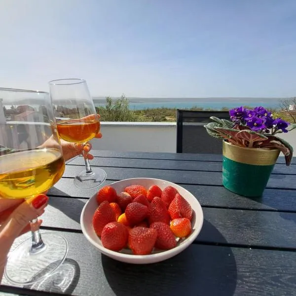 Vila Angelina, hotel v destinácii Maslenica