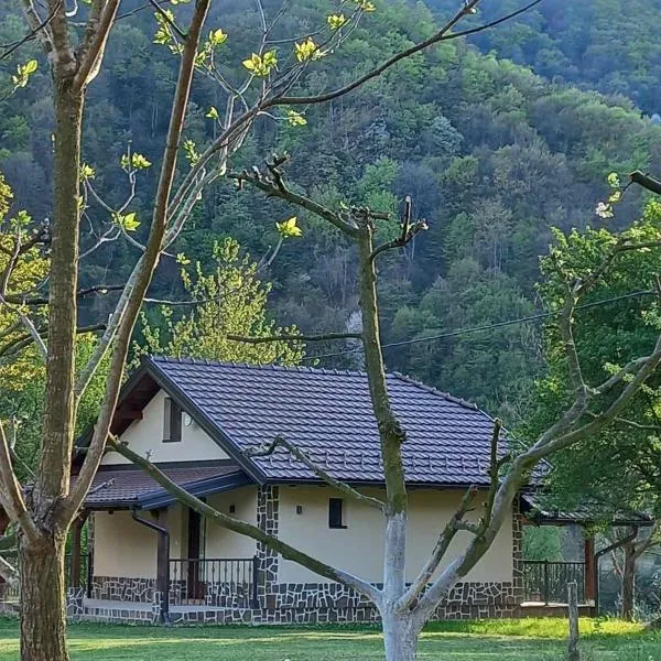 Drinski merak, hotel v destinaci Bajina Bašta